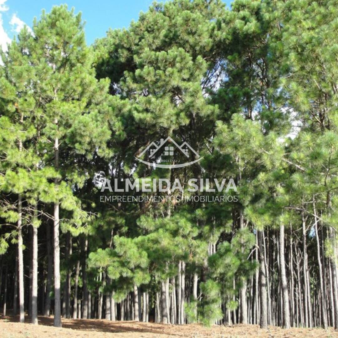 Terreno, 1256 m² - Foto 13