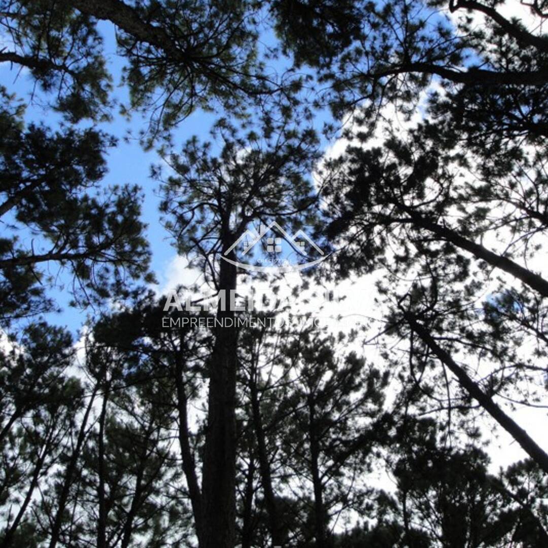 Terreno, 1256 m² - Foto 14