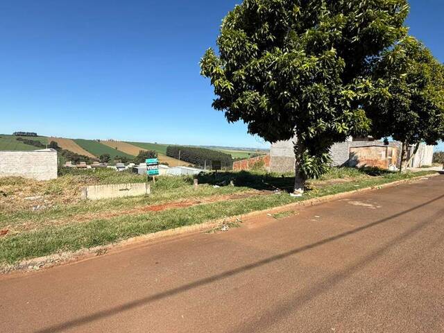#387 - Terreno para Venda em Arapongas - PR - 2