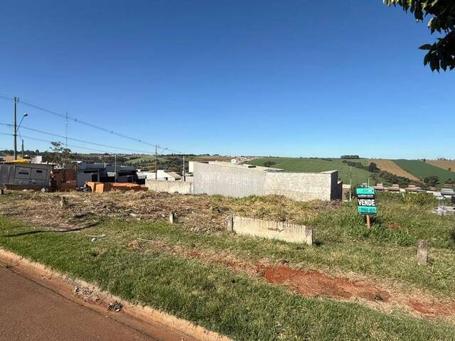 Terreno para Venda em Arapongas - 4