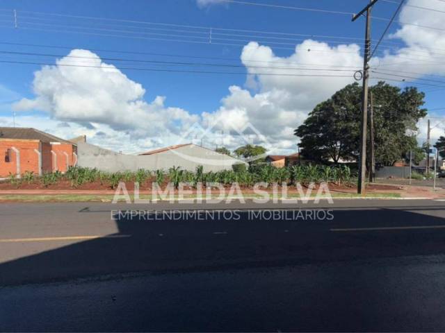 #443 - Terreno para Venda em Arapongas - PR - 3