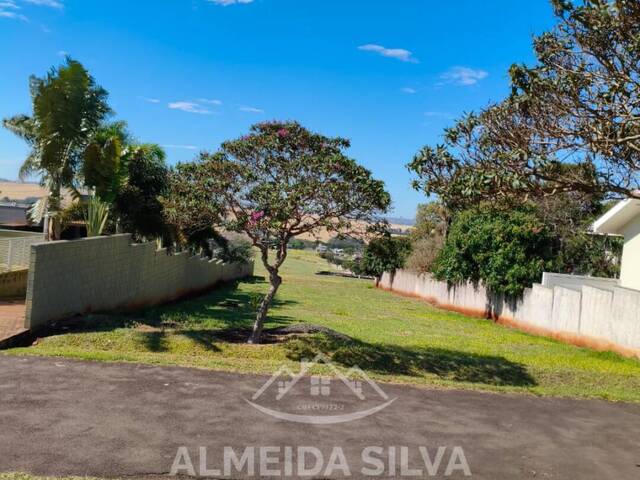 Área para Venda em Arapongas - 2