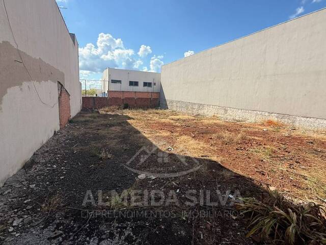 Área para Venda em Arapongas - 4