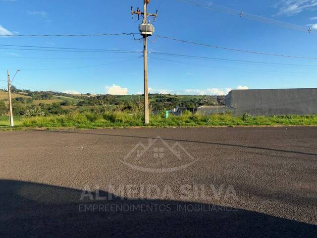 Terreno para Venda em Arapongas - 5