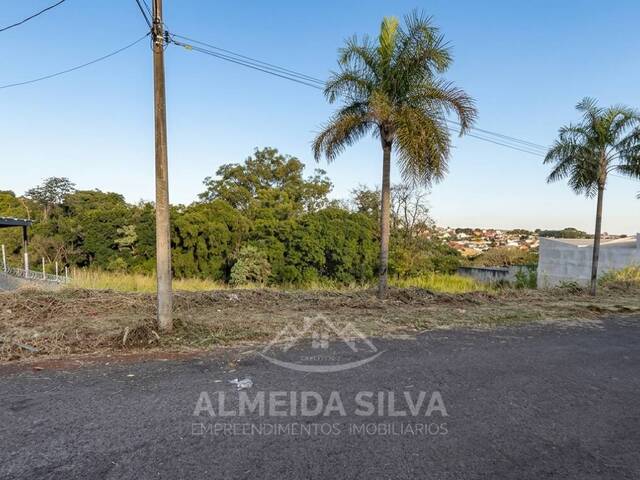 #167 - Terreno para Venda em Arapongas - PR - 3