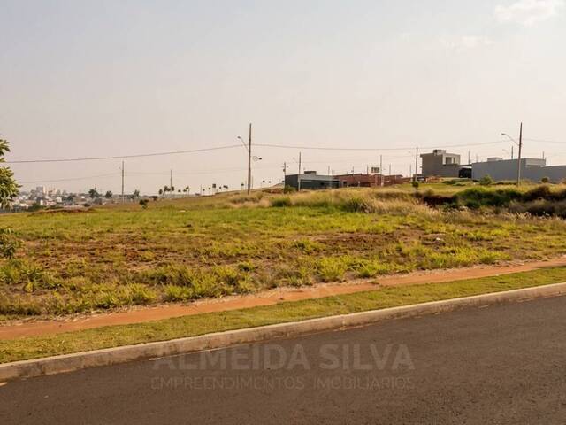 #313 - Terreno para Venda em Arapongas - PR - 2