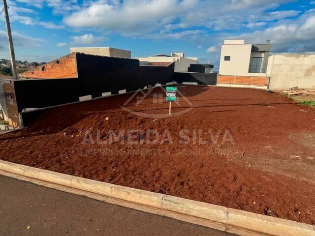 Terreno para Venda em Arapongas - 4