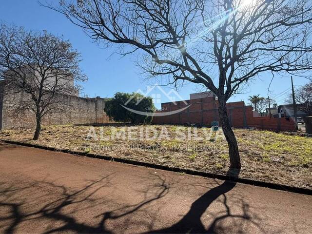 Terreno para Venda em Arapongas - 2